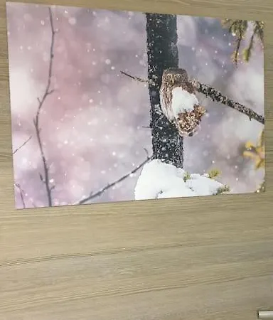 La Chouette-appartement Appartement *