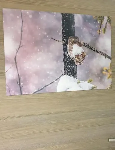 La Chouette-appartement Apartmán *